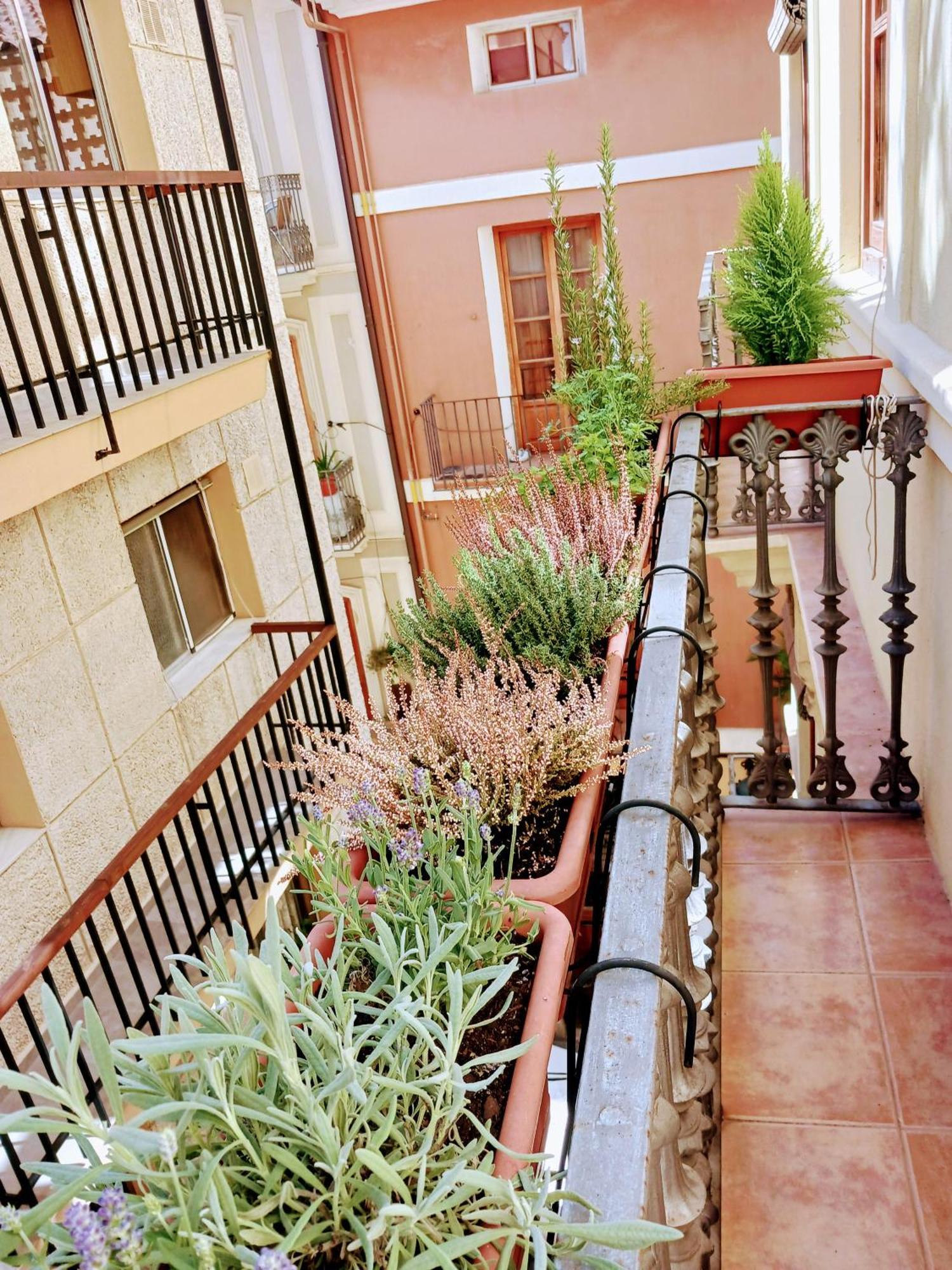 Apartamento Cozy Flat In Old Town *